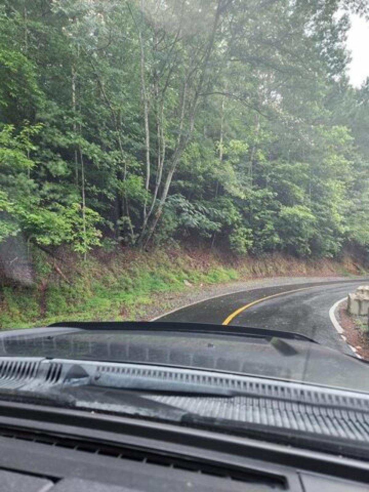 Picture of Residential Land For Sale in Ellijay, Georgia, United States