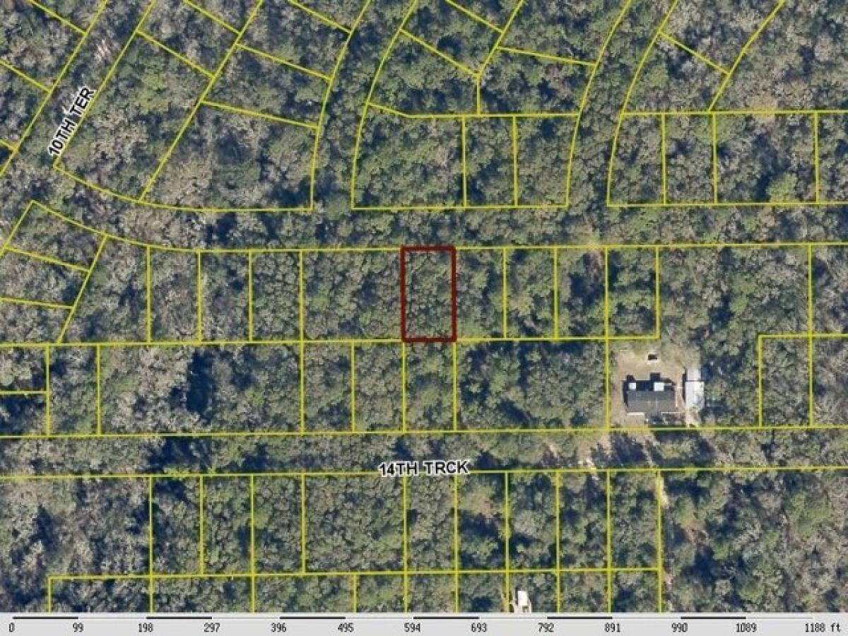Picture of Residential Land For Rent in Live Oak, Florida, United States