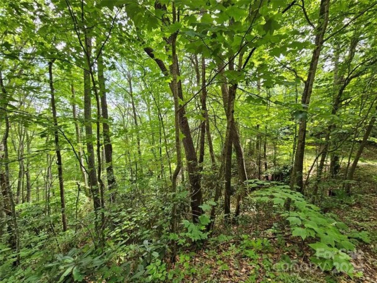 Picture of Residential Land For Sale in Waynesville, North Carolina, United States