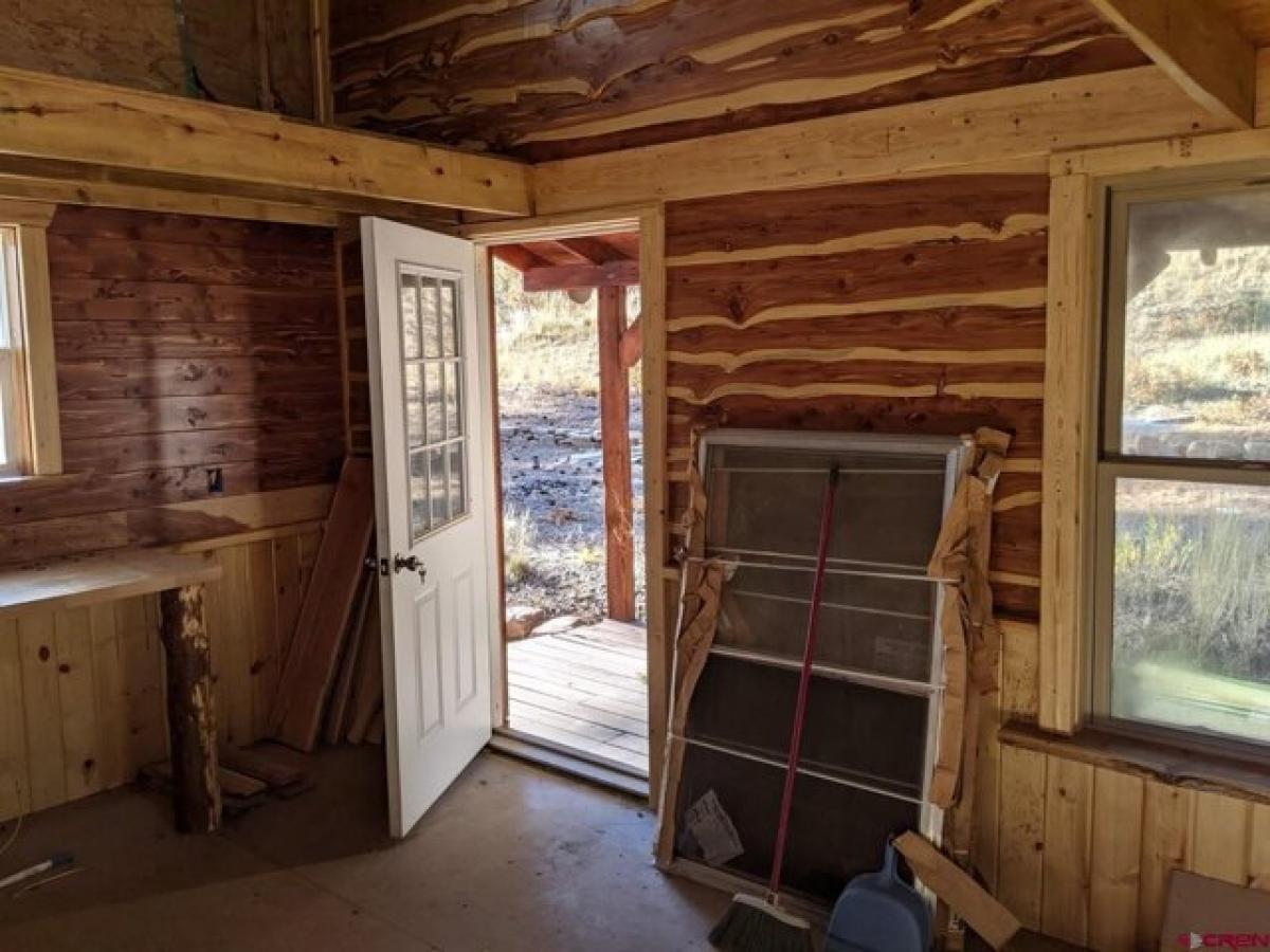 Picture of Residential Land For Sale in Pagosa Springs, Colorado, United States