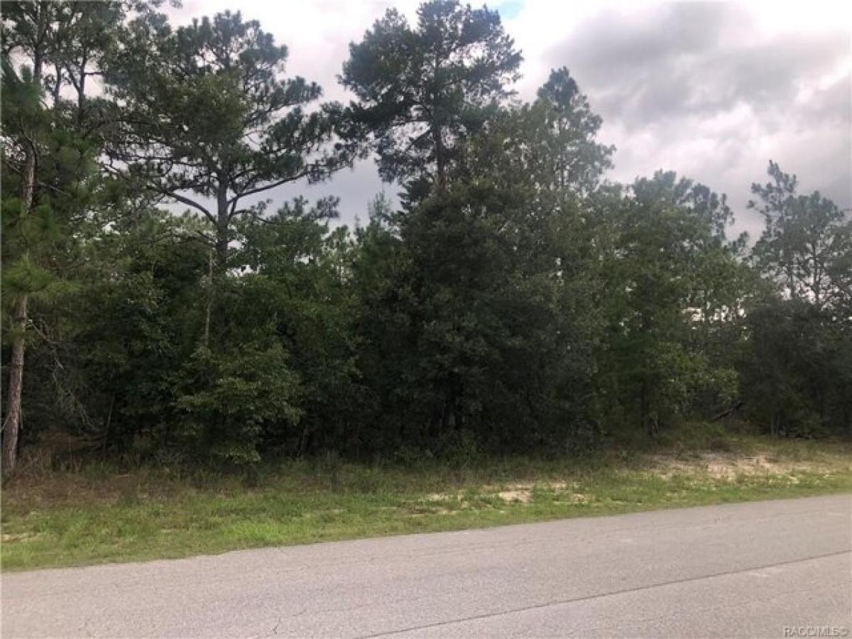 Picture of Residential Land For Sale in Homosassa, Florida, United States