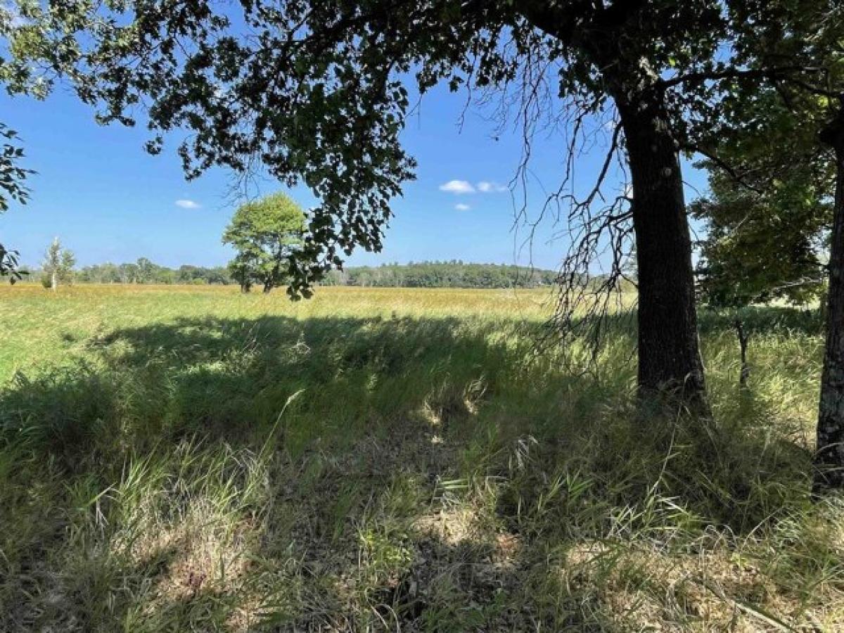 Picture of Residential Land For Rent in New Lisbon, Wisconsin, United States