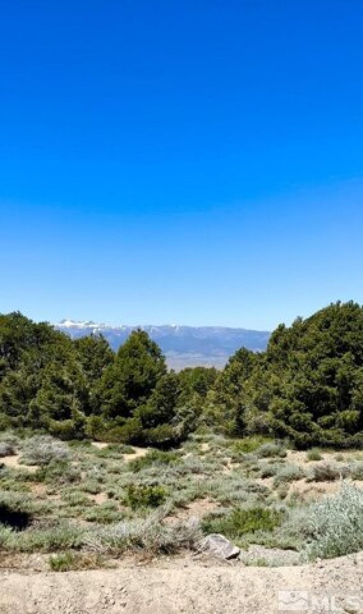 Picture of Residential Land For Sale in Reno, Nevada, United States