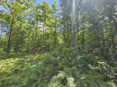 Residential Land For Rent in Bitely, Michigan