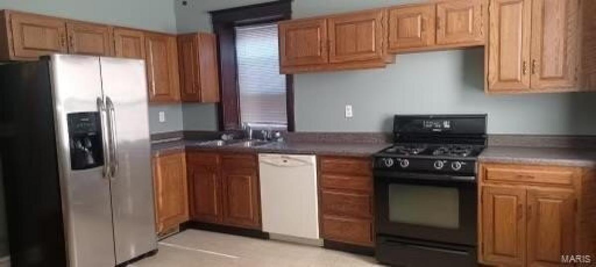 Picture of Home For Rent in Saint Louis, Missouri, United States