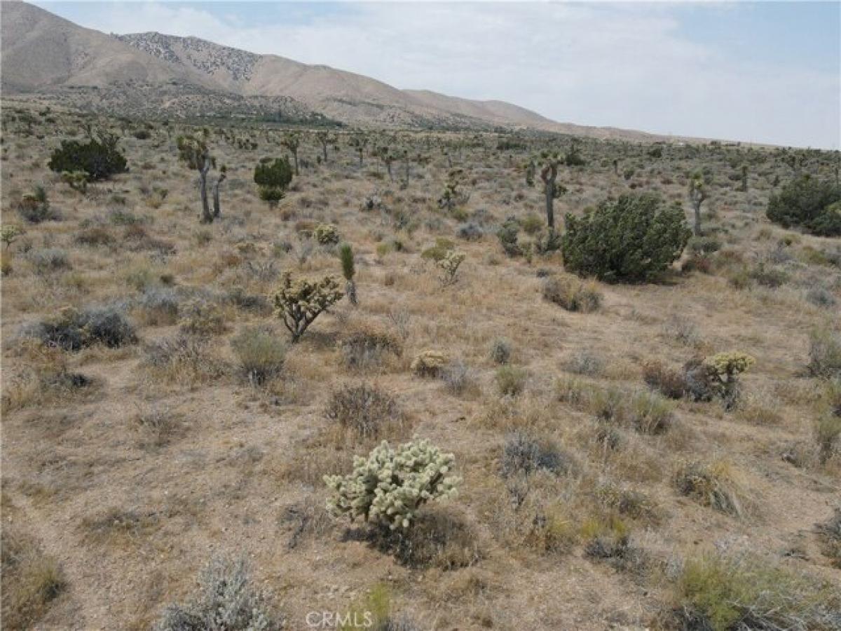 Picture of Residential Land For Sale in Lucerne Valley, California, United States