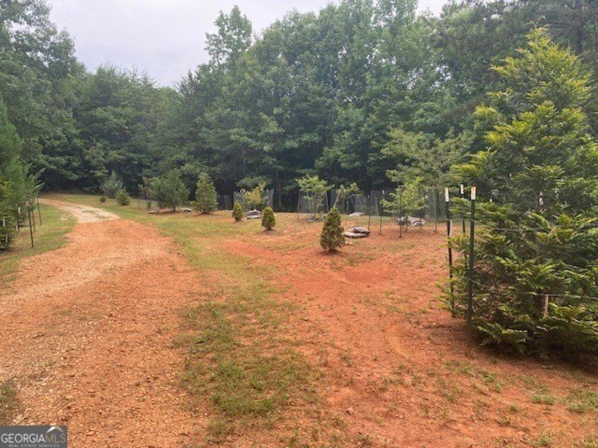 Picture of Residential Land For Sale in Westminster, South Carolina, United States