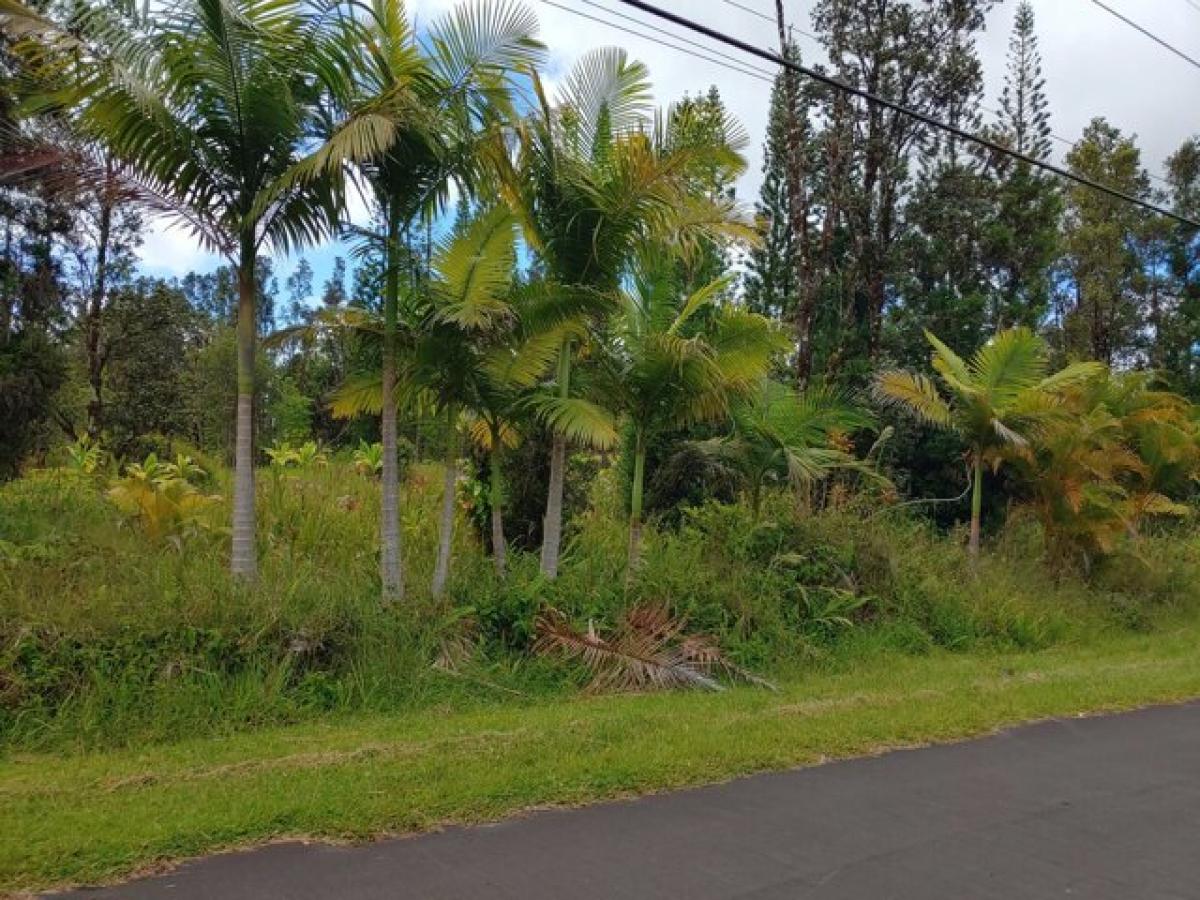 Picture of Residential Land For Sale in Mountain View, Hawaii, United States