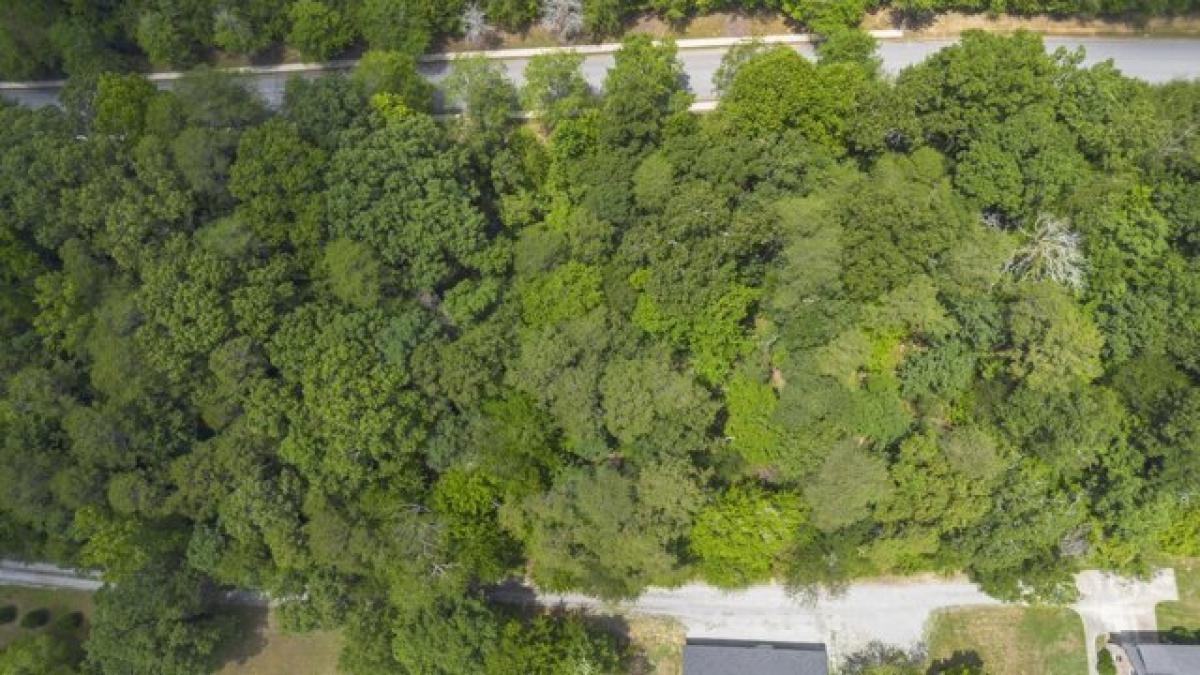 Picture of Residential Land For Sale in Soddy Daisy, Tennessee, United States