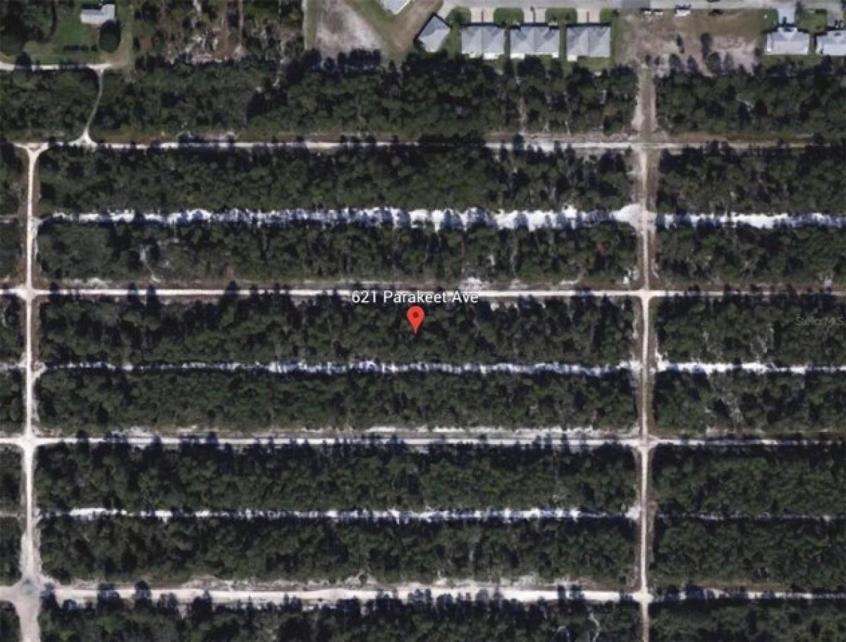 Picture of Residential Land For Sale in Sebring, Florida, United States