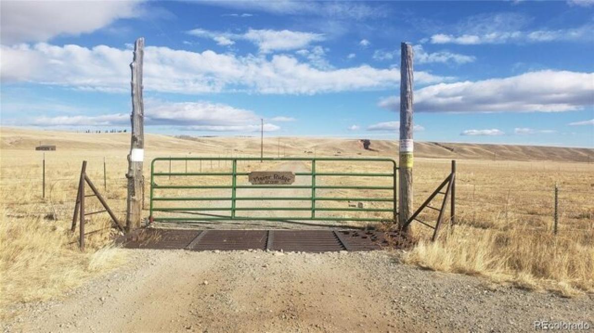 Picture of Residential Land For Sale in Fairplay, Colorado, United States
