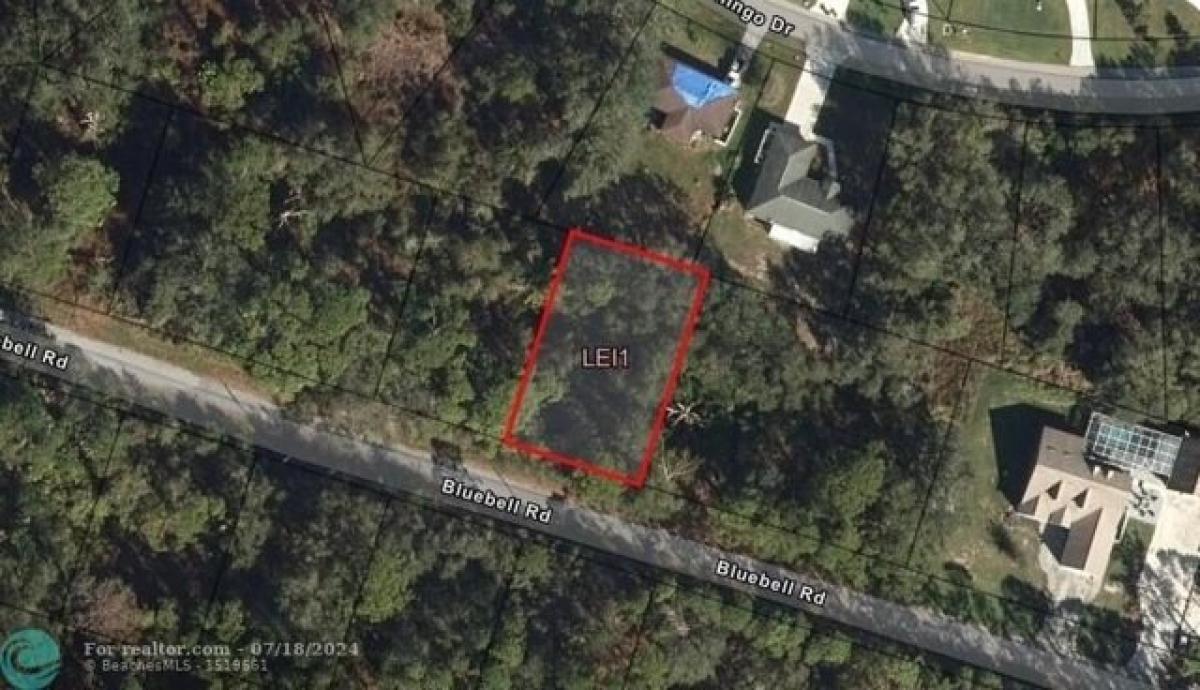 Picture of Residential Land For Sale in Lake Placid, Florida, United States