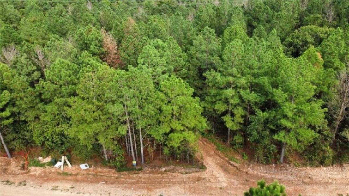 Picture of Residential Land For Sale in Broken Bow, Oklahoma, United States