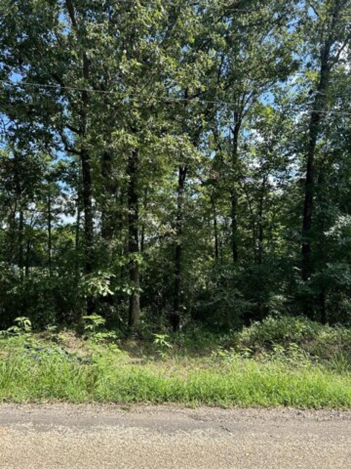 Picture of Residential Land For Rent in Pittsburg, Texas, United States