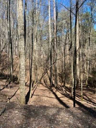 Residential Land For Sale in Ellijay, Georgia
