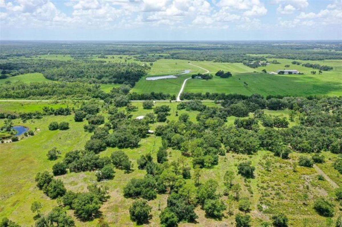Picture of Residential Land For Sale in Myakka City, Florida, United States