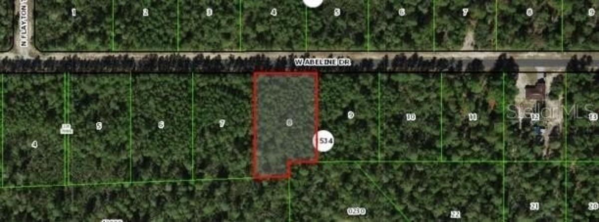 Picture of Residential Land For Sale in Citrus Springs, Florida, United States