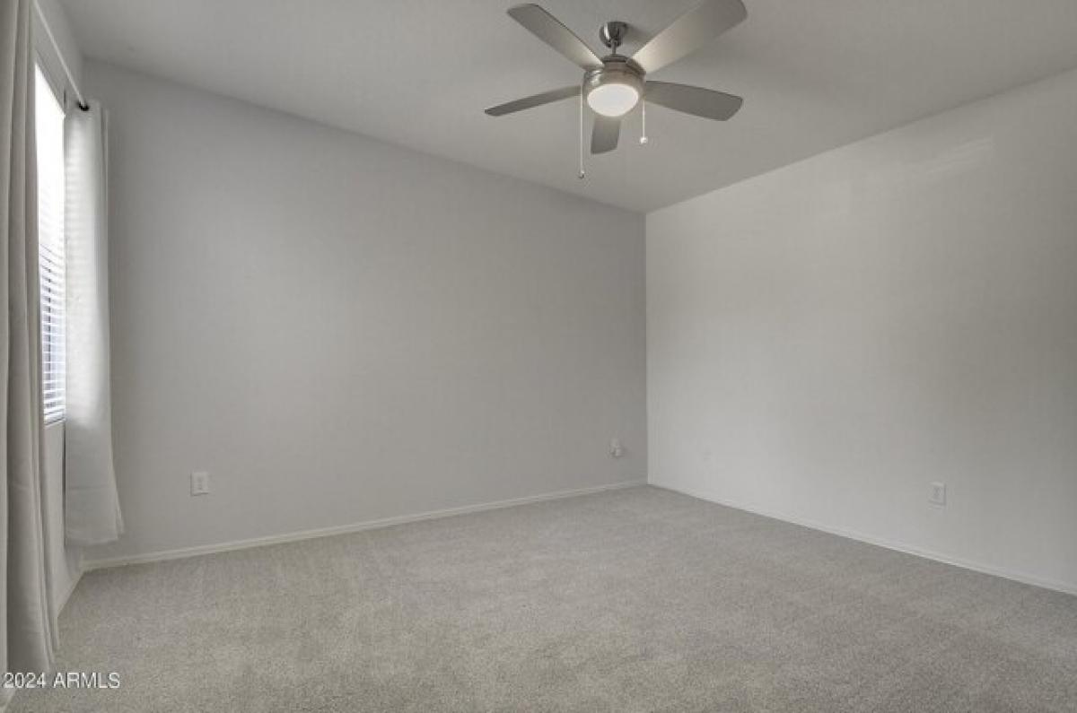 Picture of Apartment For Rent in Scottsdale, Arizona, United States