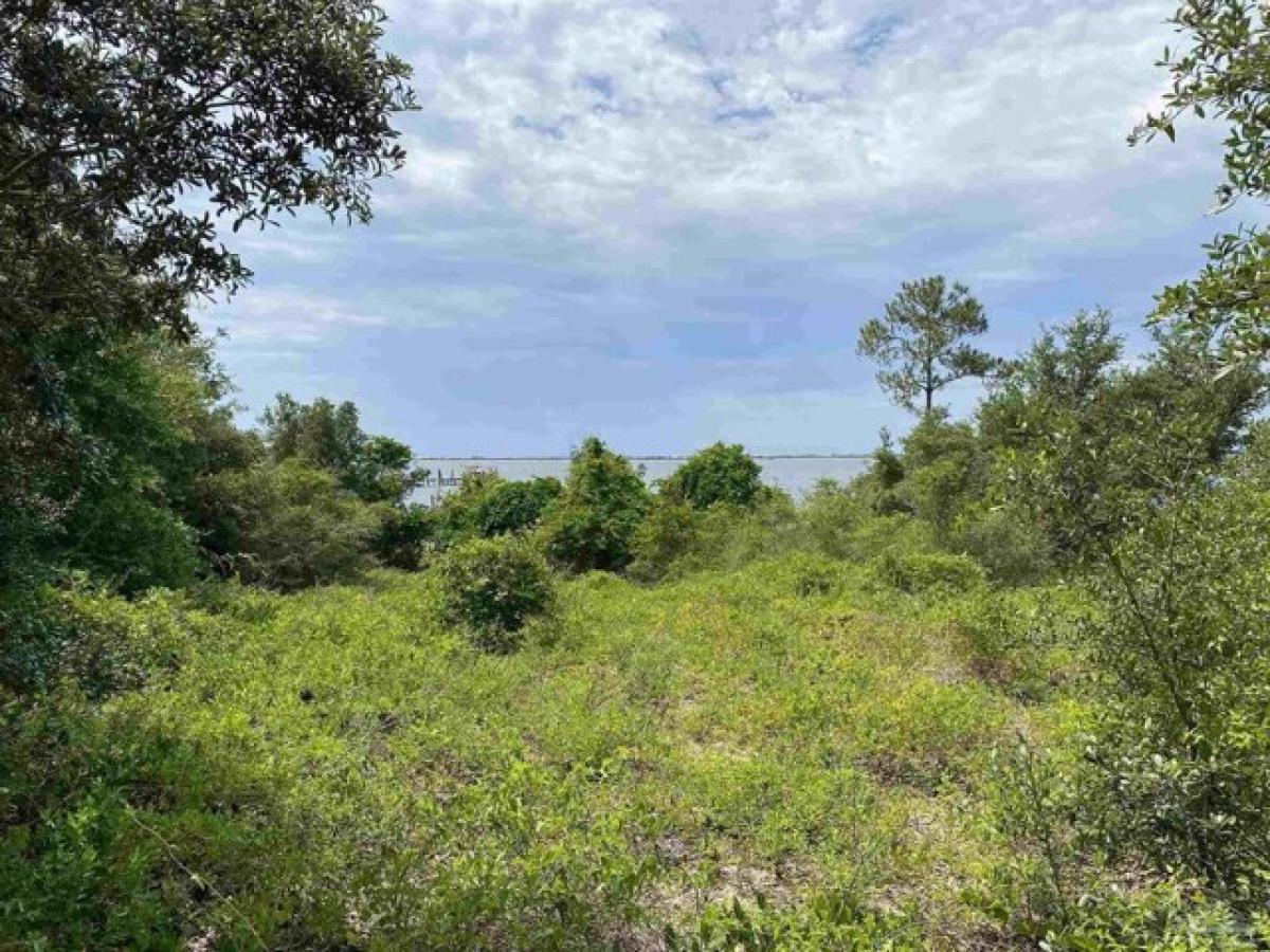 Picture of Residential Land For Sale in Pensacola, Florida, United States
