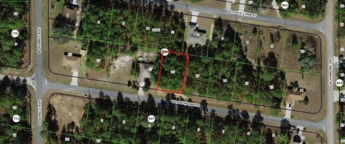 Picture of Residential Land For Sale in Citrus Springs, Florida, United States