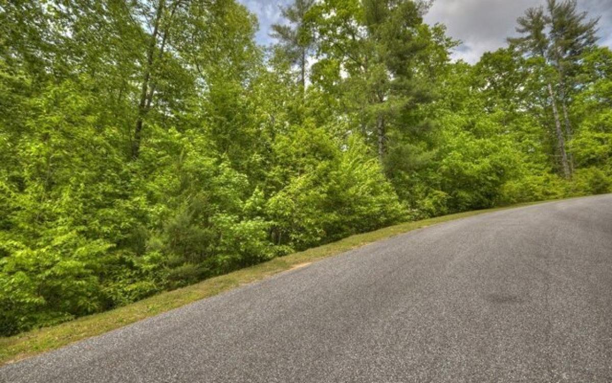 Picture of Residential Land For Sale in Ellijay, Georgia, United States