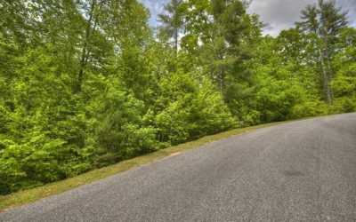 Residential Land For Sale in Ellijay, Georgia