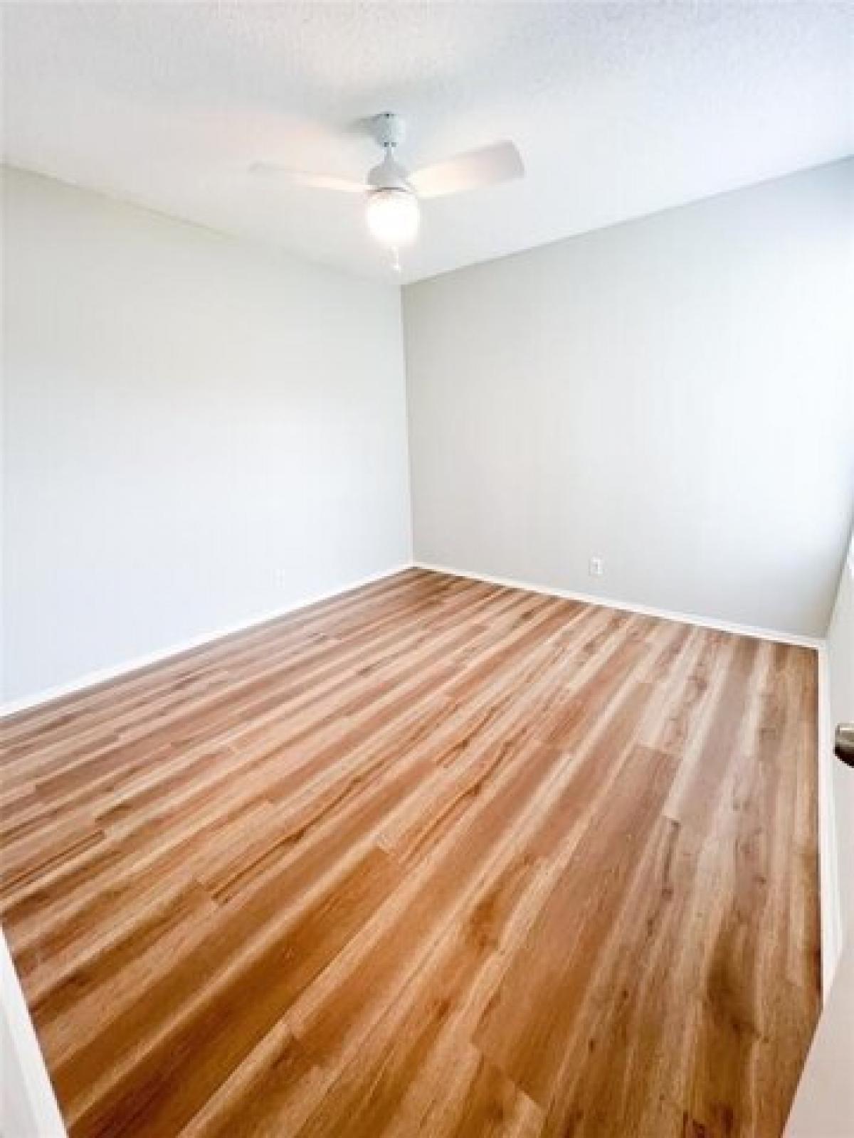 Picture of Home For Rent in Leander, Texas, United States