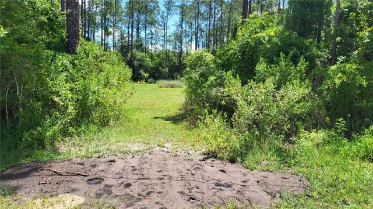 Picture of Residential Land For Sale in Bunnell, Florida, United States