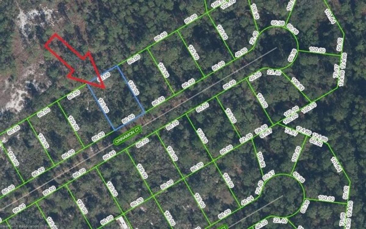 Picture of Residential Land For Sale in Sebring, Florida, United States