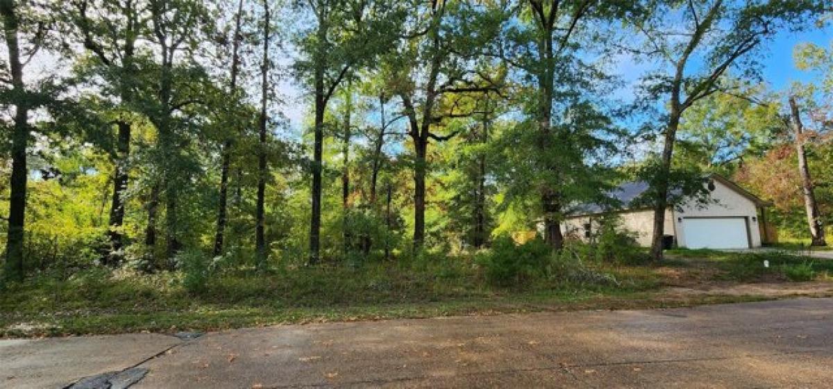 Picture of Residential Land For Sale in Livingston, Texas, United States