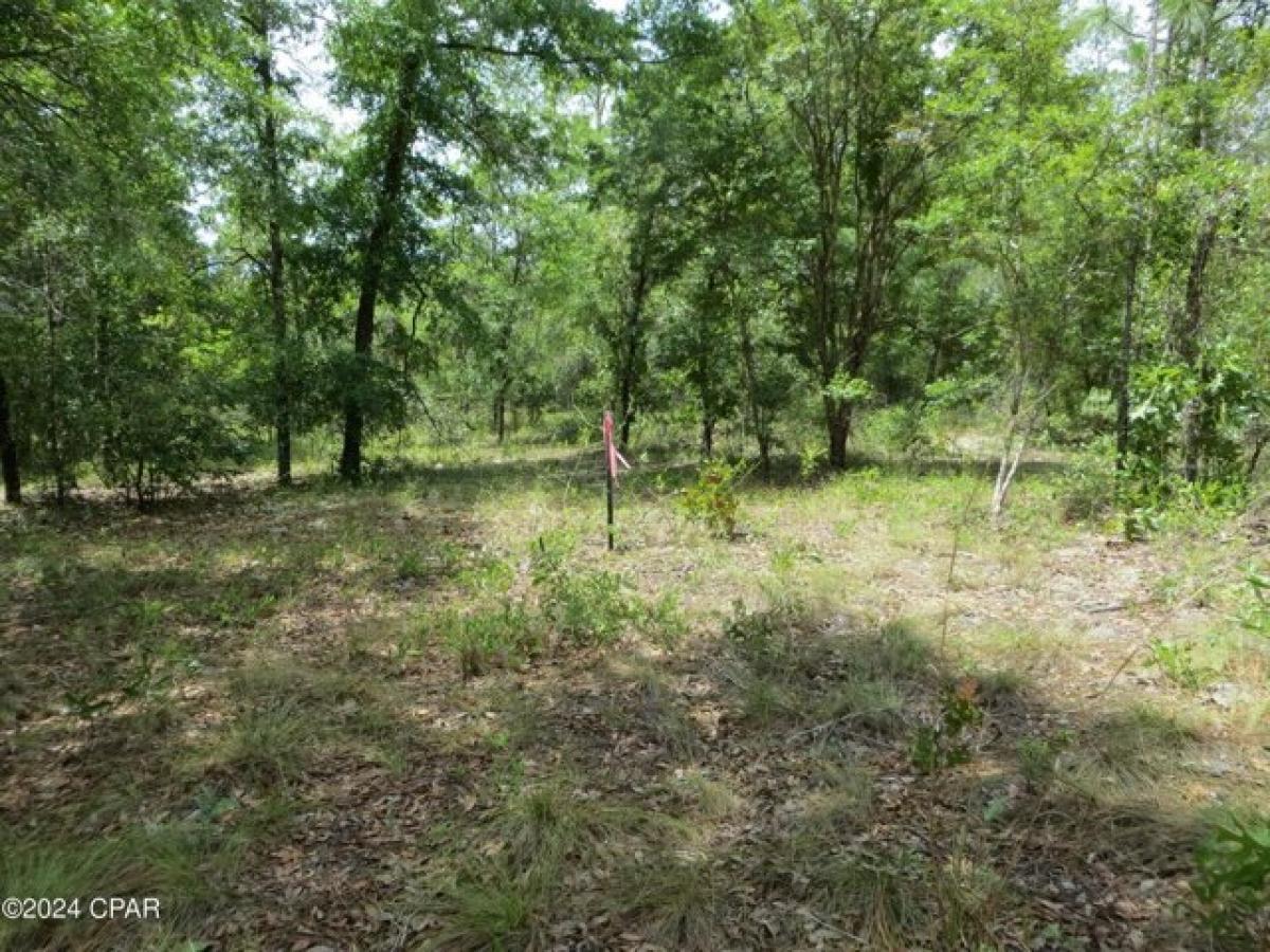 Picture of Residential Land For Sale in Chipley, Florida, United States