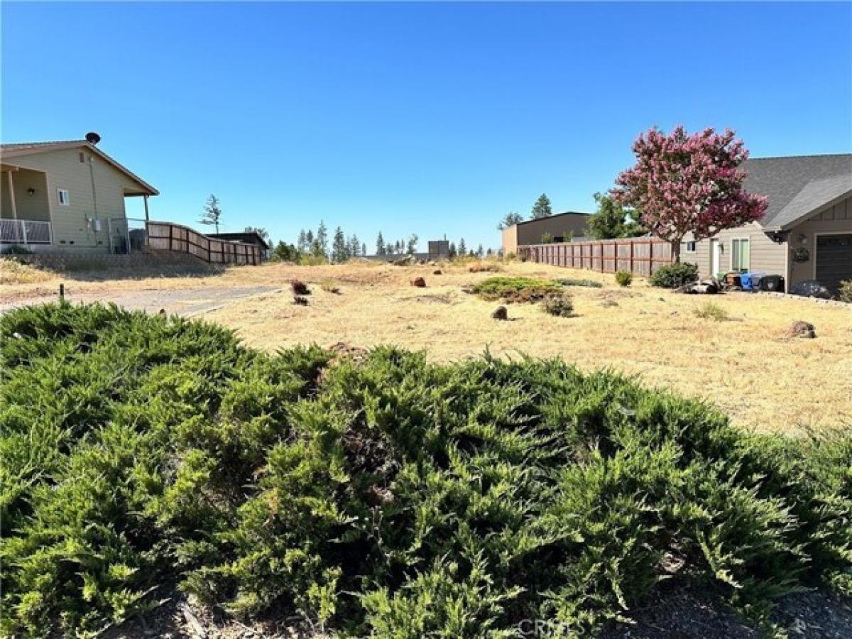 Picture of Residential Land For Sale in Paradise, California, United States