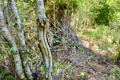 Residential Land For Sale in White Springs, Florida