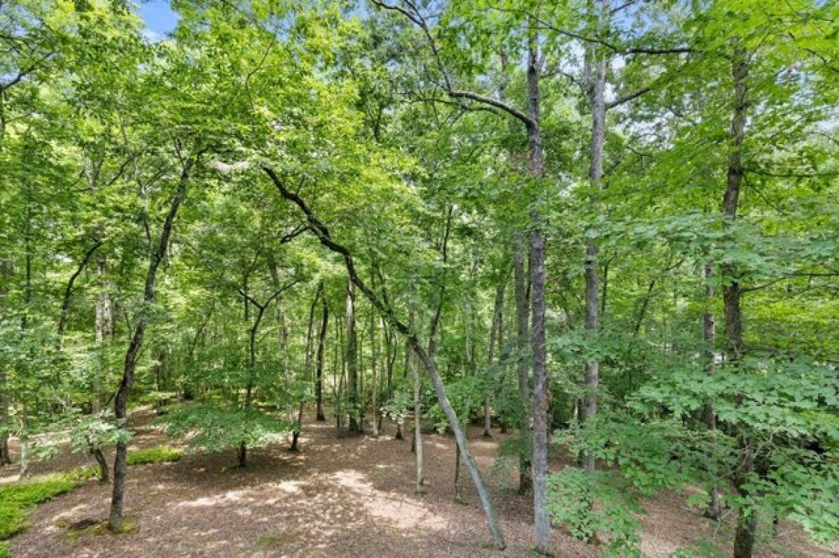 Picture of Home For Sale in Blue Ridge, Georgia, United States
