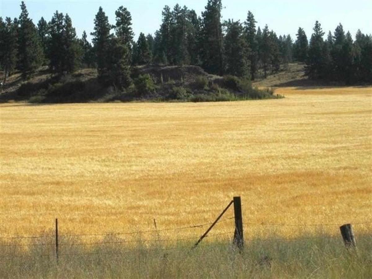 Picture of Residential Land For Sale in Spokane, Washington, United States