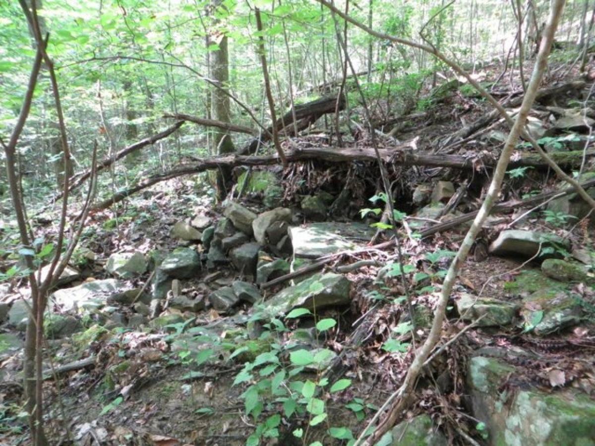 Picture of Residential Land For Sale in Crossville, Tennessee, United States