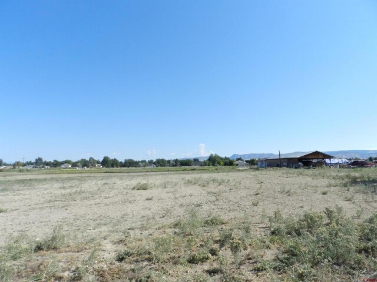 Picture of Residential Land For Sale in Montrose, Colorado, United States