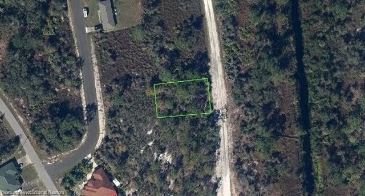 Picture of Residential Land For Sale in Lake Placid, Florida, United States