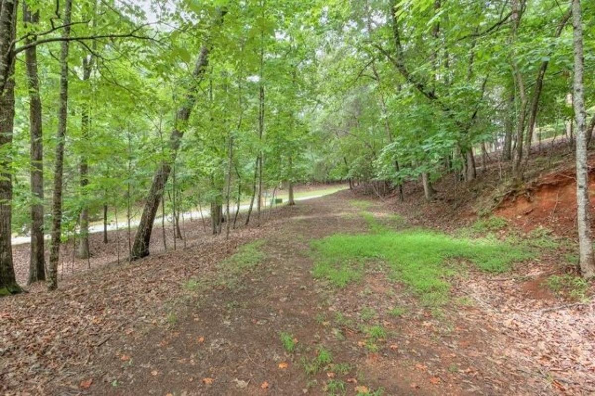 Picture of Residential Land For Sale in Gainesville, Georgia, United States