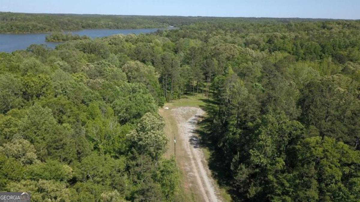 Picture of Residential Land For Sale in Elberton, Georgia, United States