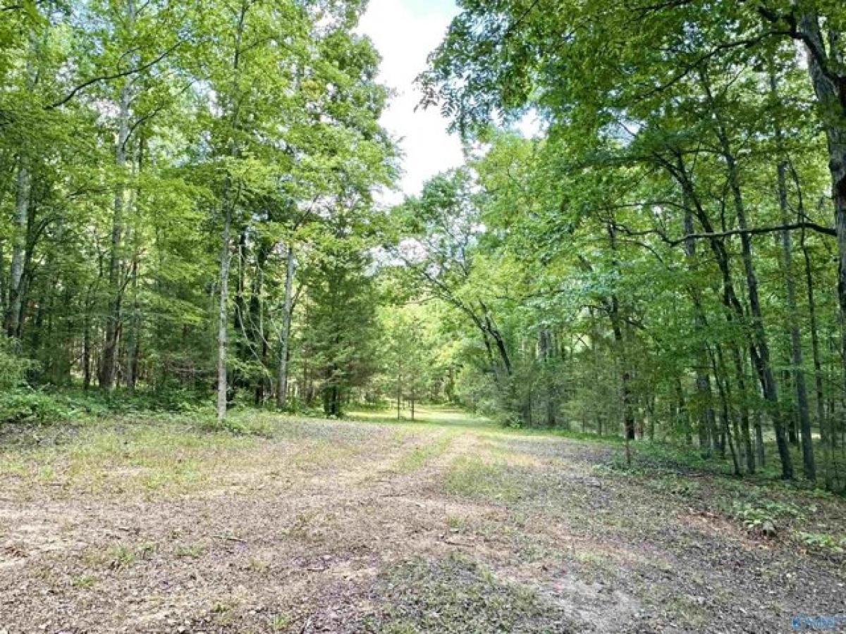 Picture of Home For Sale in Athens, Alabama, United States