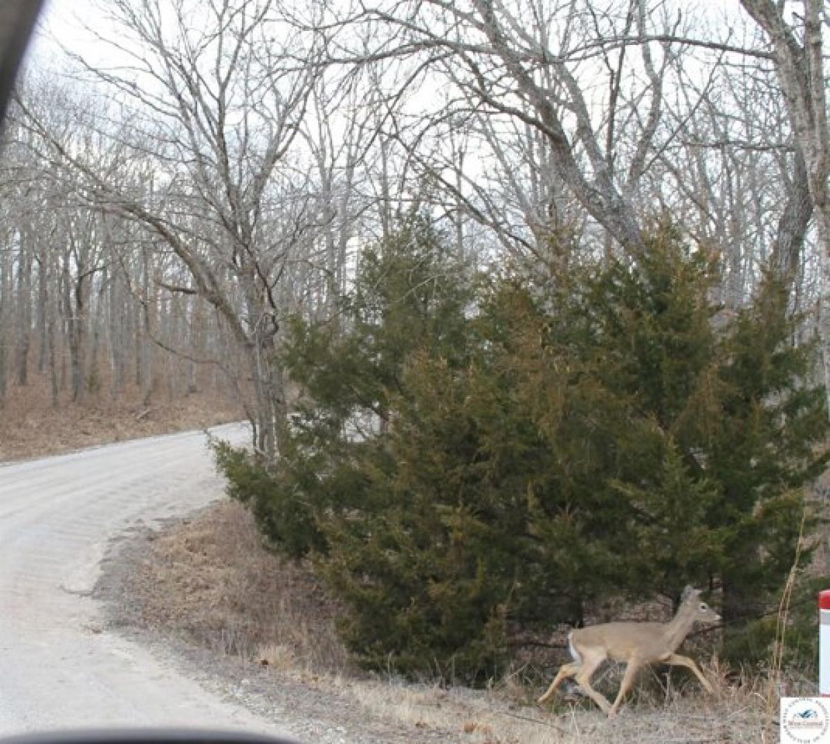 Picture of Residential Land For Sale in Edwards, Missouri, United States