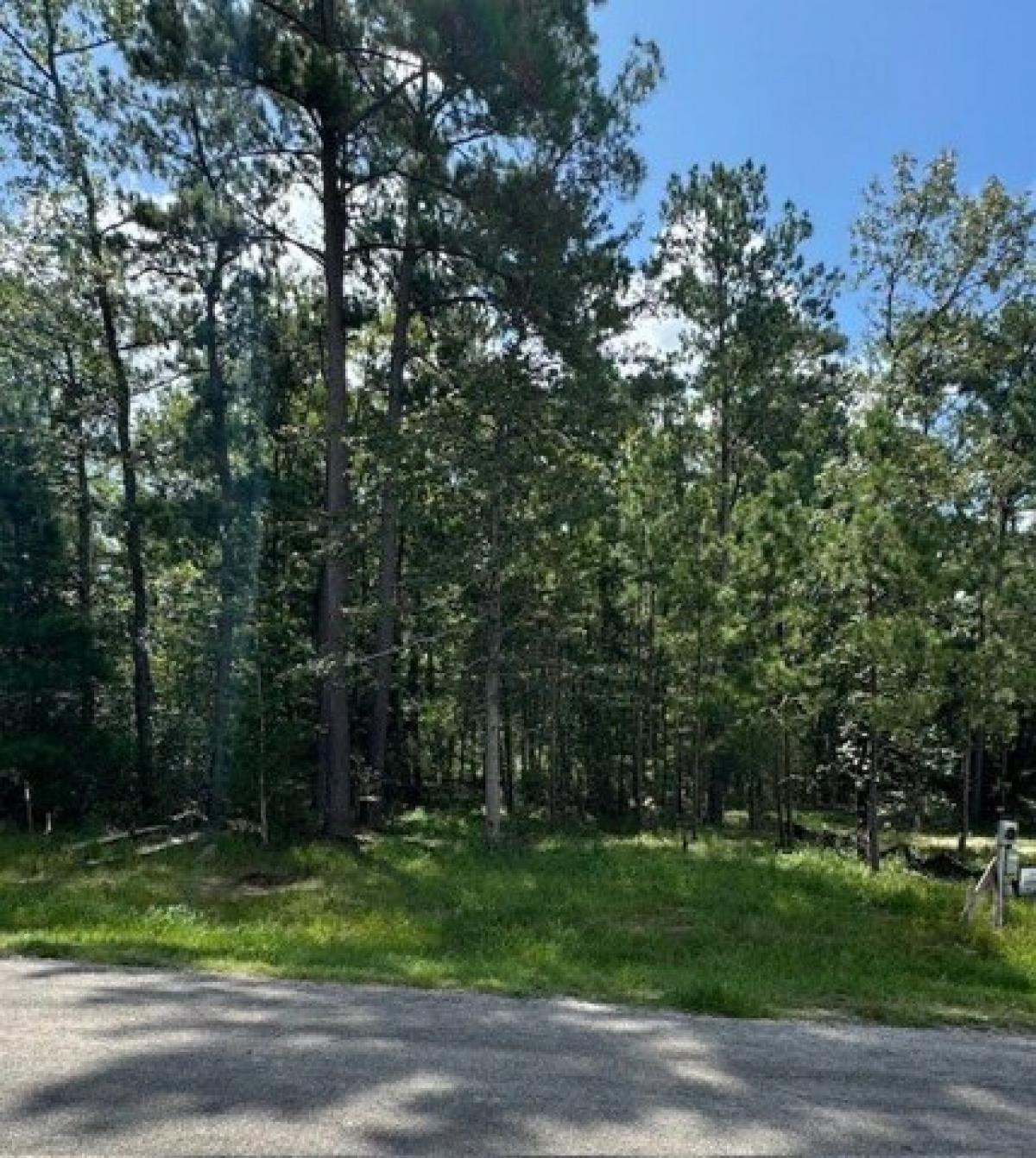 Picture of Residential Land For Sale in Huntsville, Texas, United States