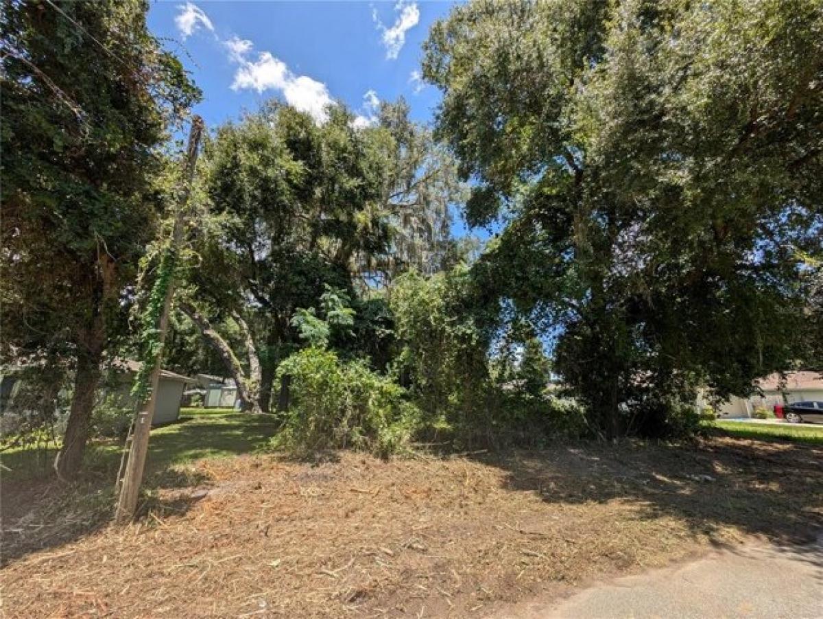 Picture of Residential Land For Sale in Ocala, Florida, United States