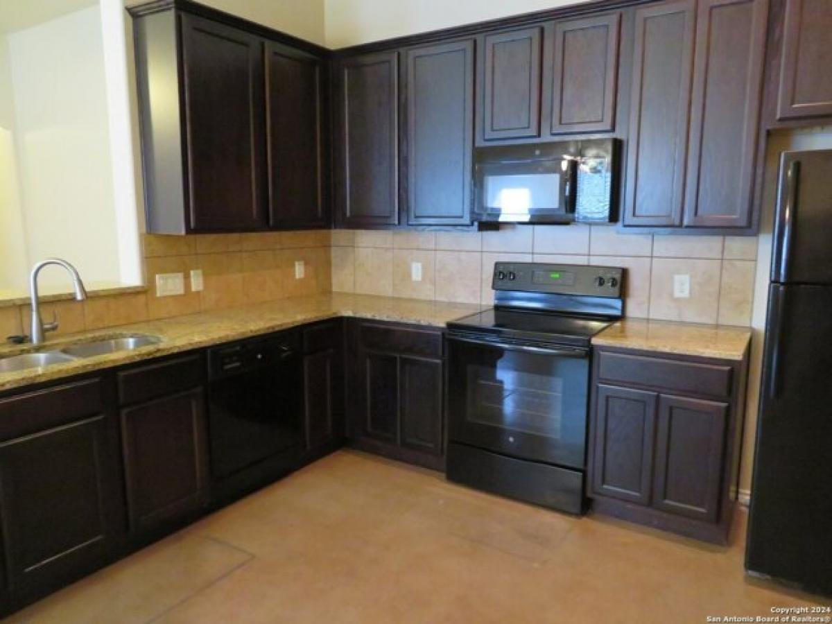 Picture of Home For Rent in New Braunfels, Texas, United States