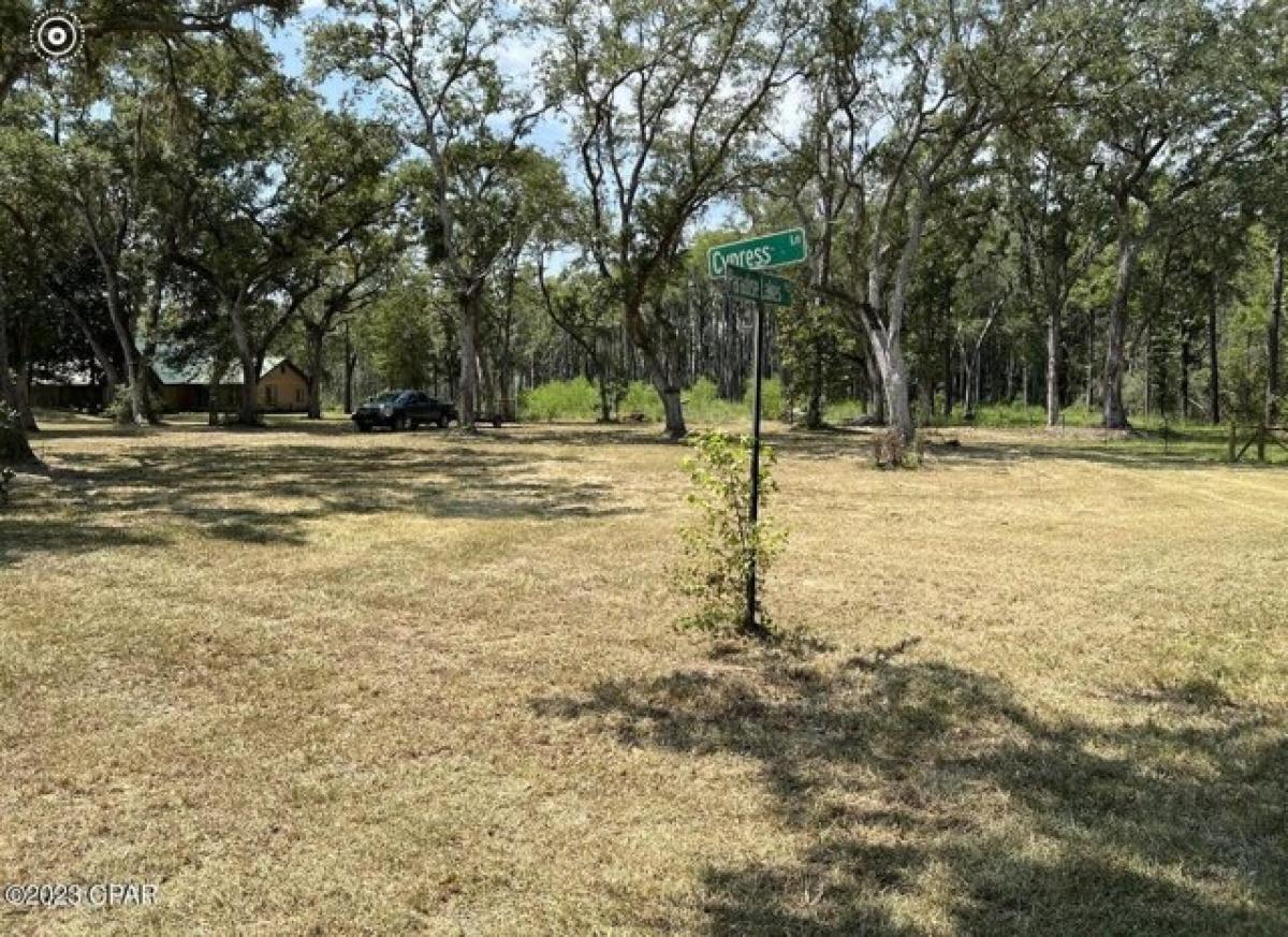 Picture of Residential Land For Sale in Chipley, Florida, United States