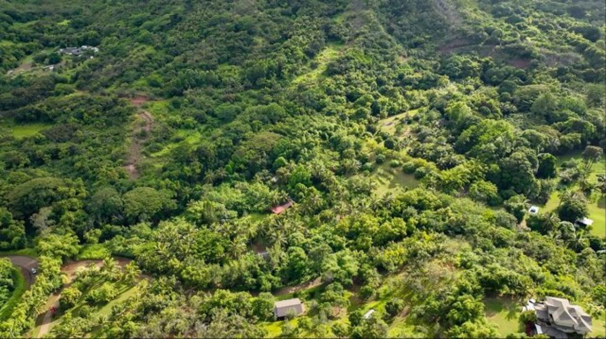 Picture of Residential Land For Sale in Anahola, Hawaii, United States