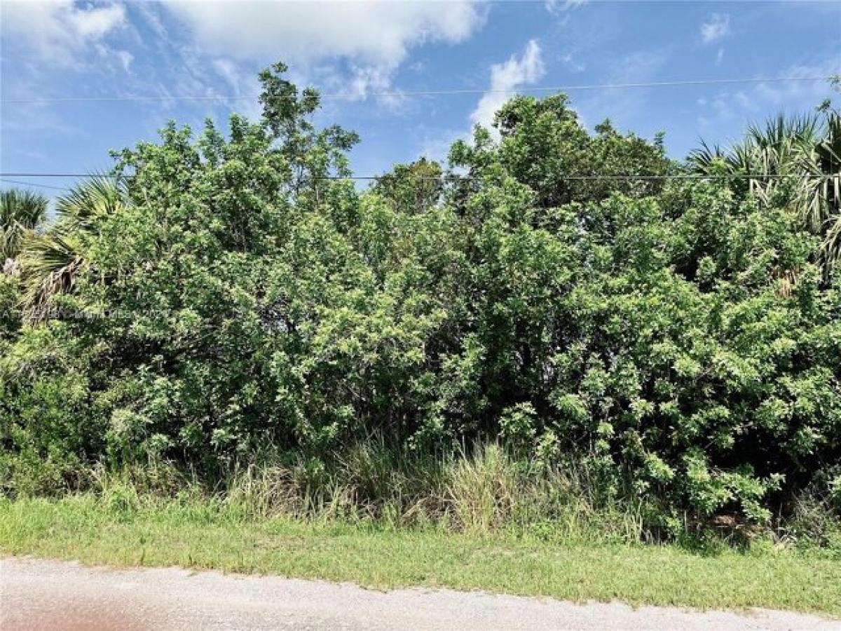 Picture of Residential Land For Sale in Palm Bay, Florida, United States