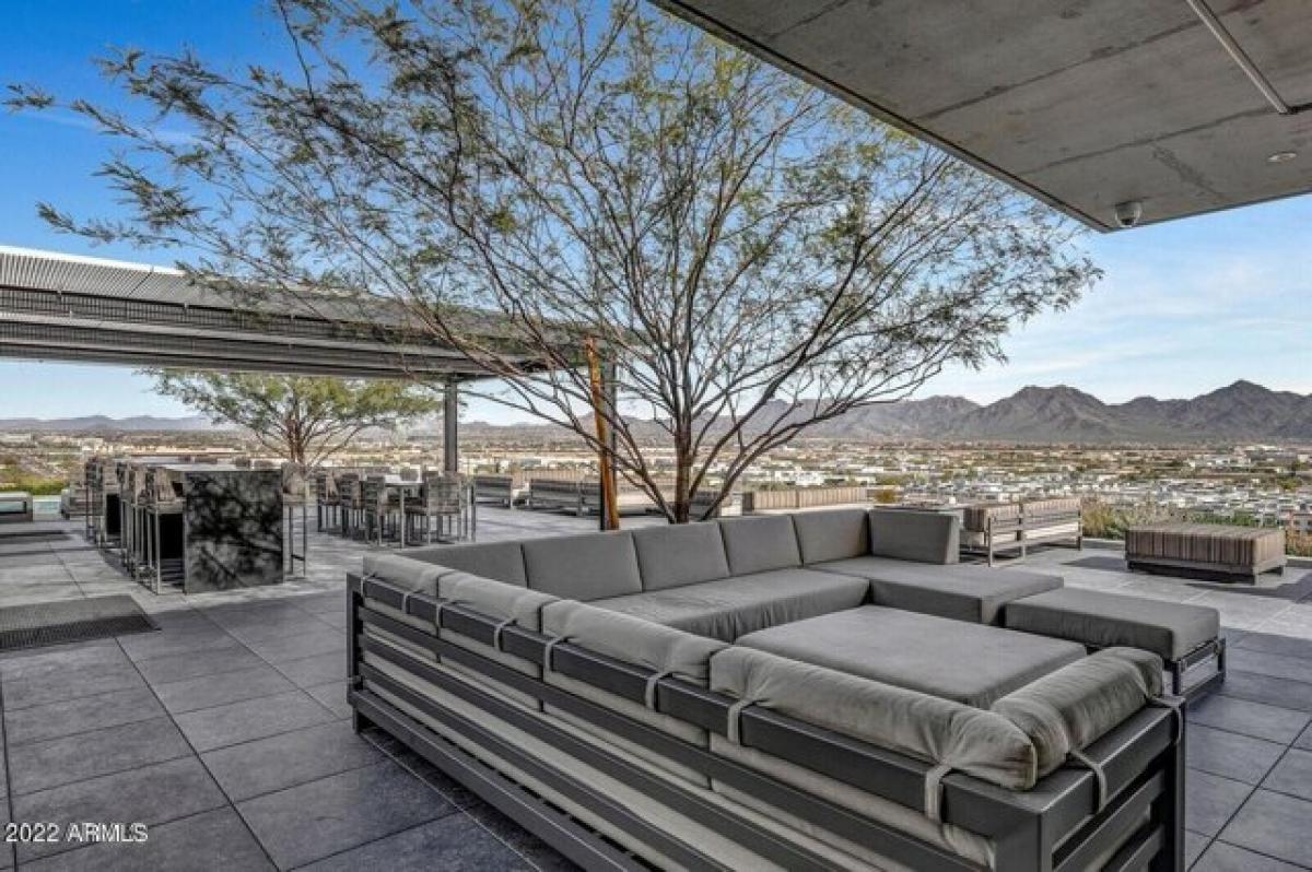 Picture of Apartment For Rent in Scottsdale, Arizona, United States