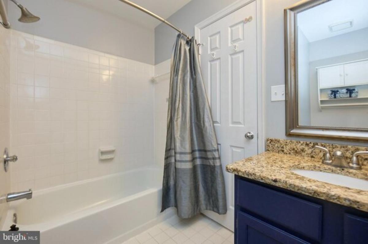 Picture of Home For Rent in Arlington, Virginia, United States